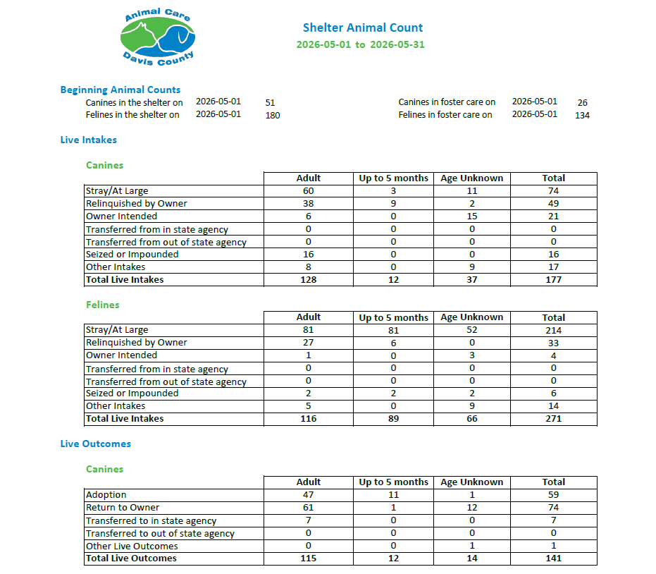 Web Site page 1