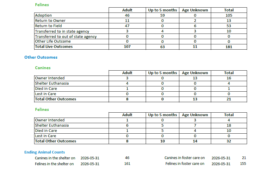 Web Site page 2