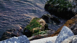 HowtoSubmitaDocumentforRecording