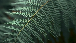 HowtoReadaLegalPropertyDescription