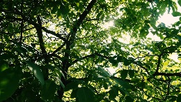 UnderstandingYourPropertyDeed