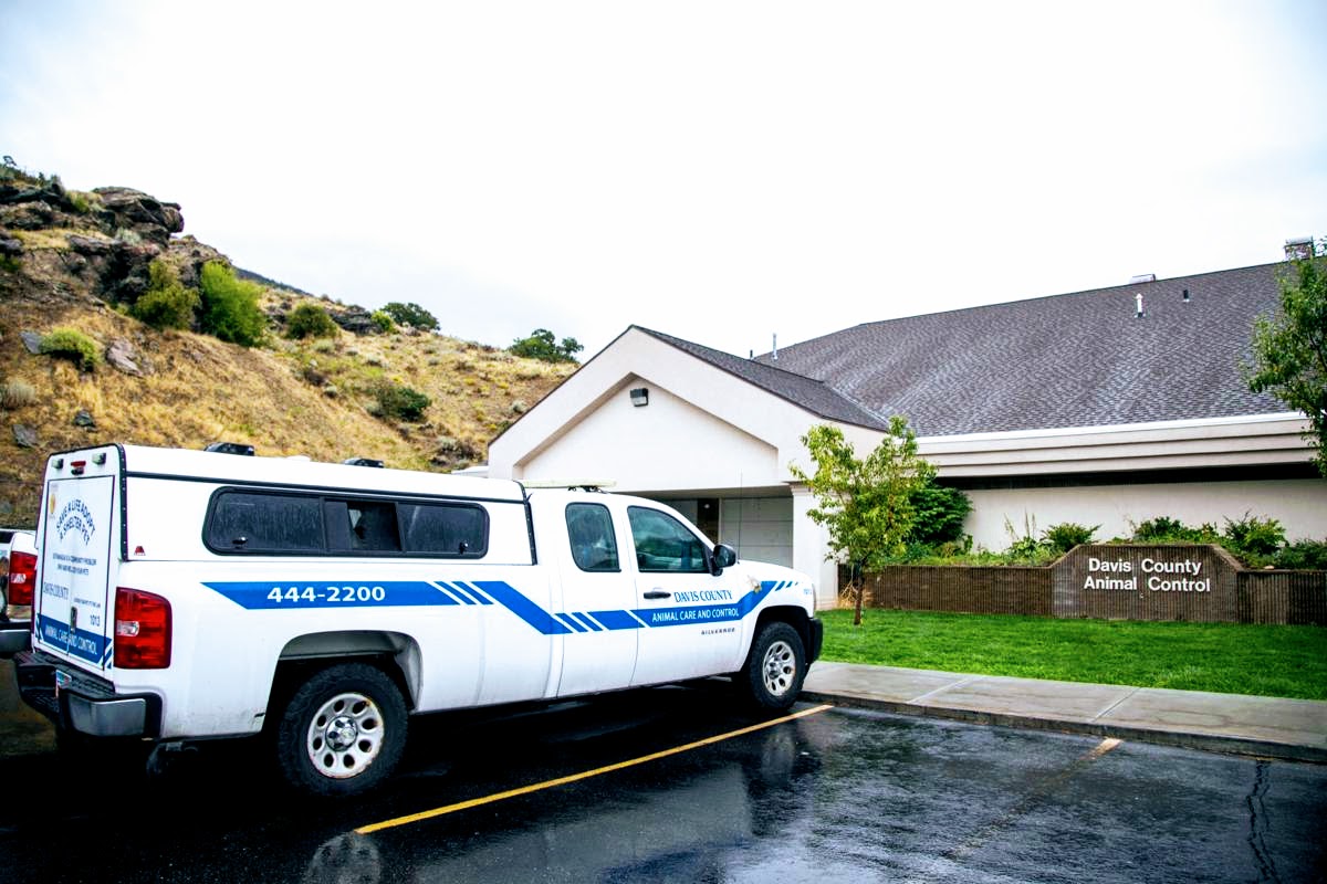 Animal Control Building