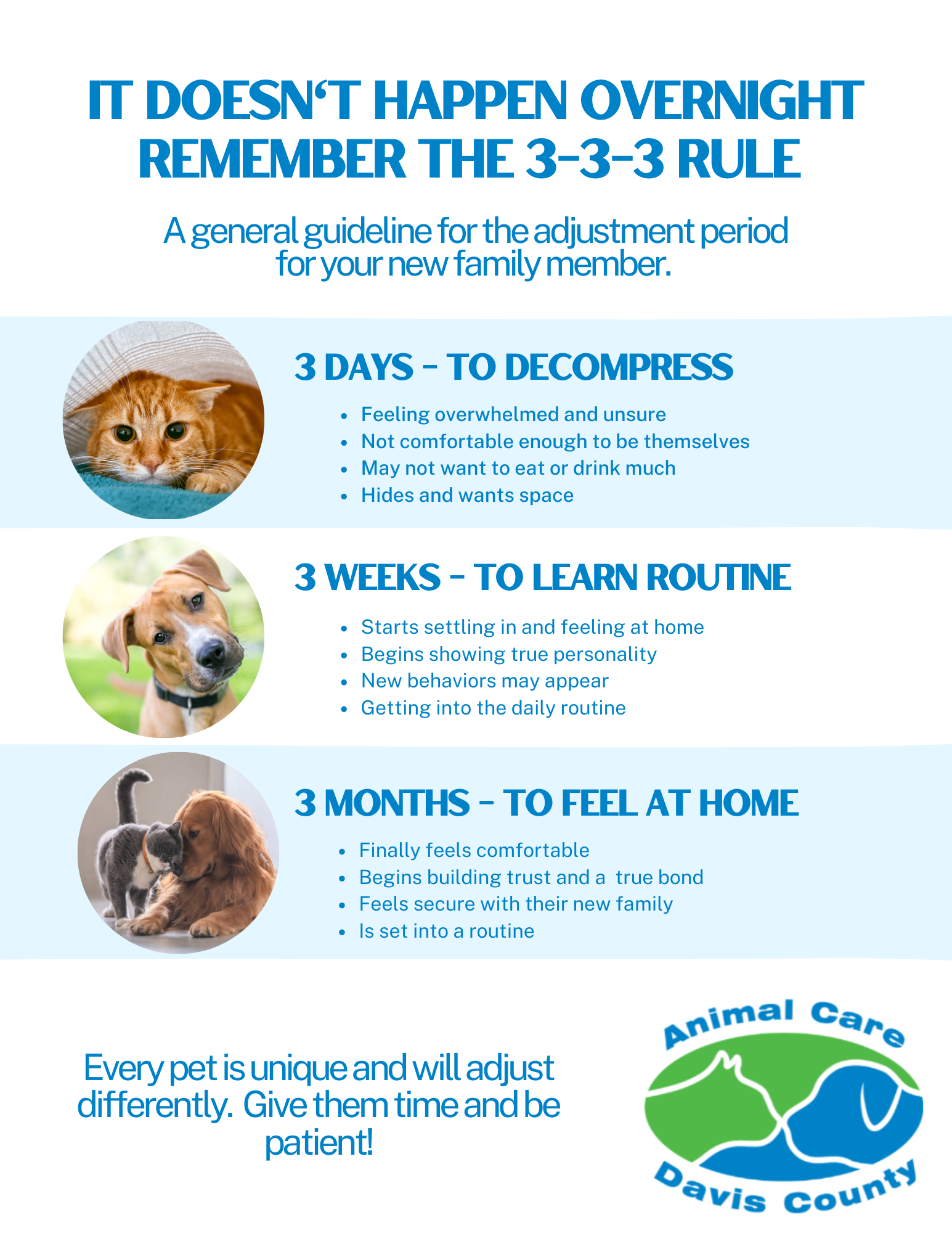 Rule of 3 - 3 days to decompress, 3 weeks to learn routine, 3 months to feel at home