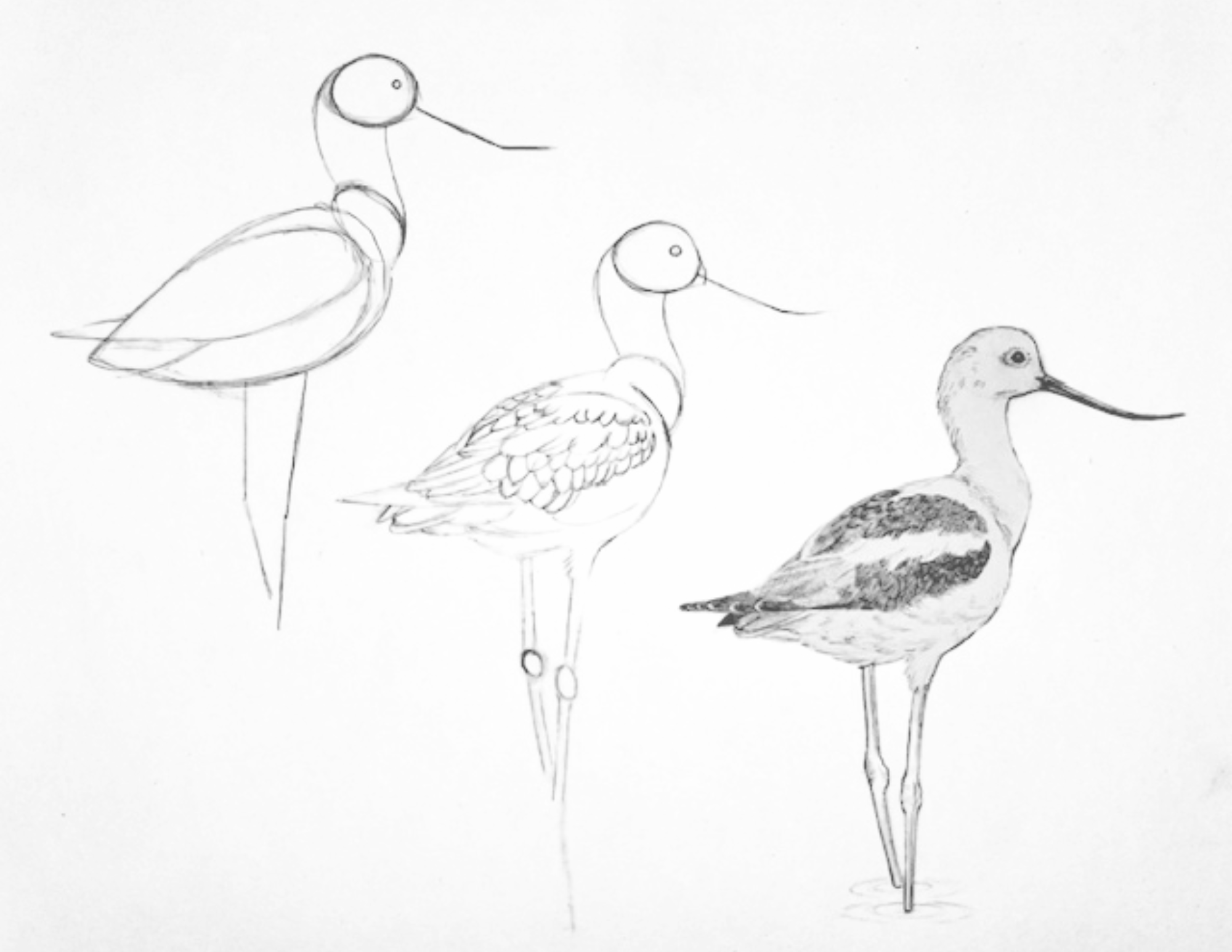 Alison Spencer Artwork2