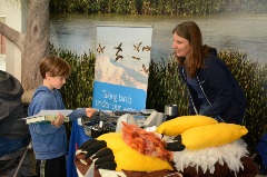 discoverdavis_13070362_Small