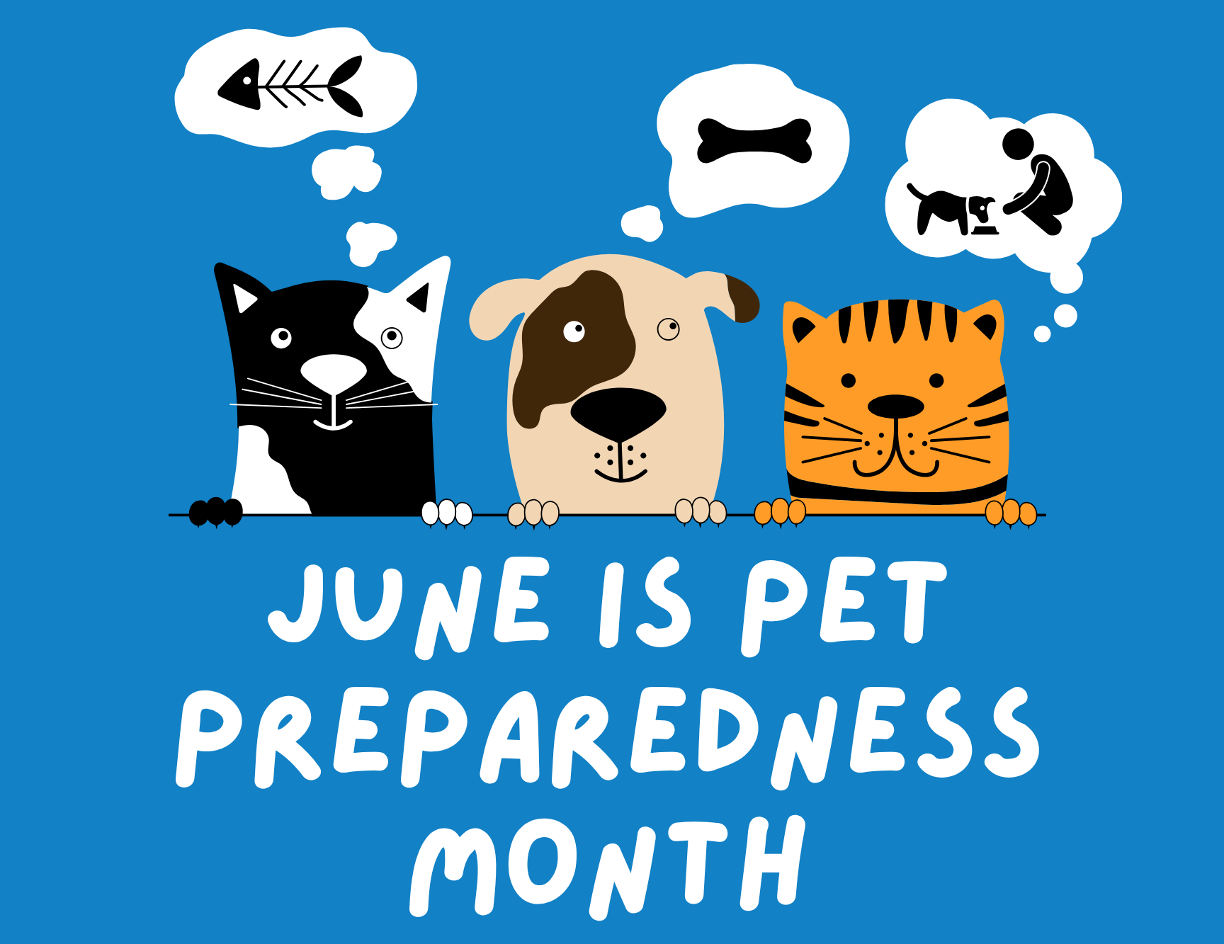 June Flyer