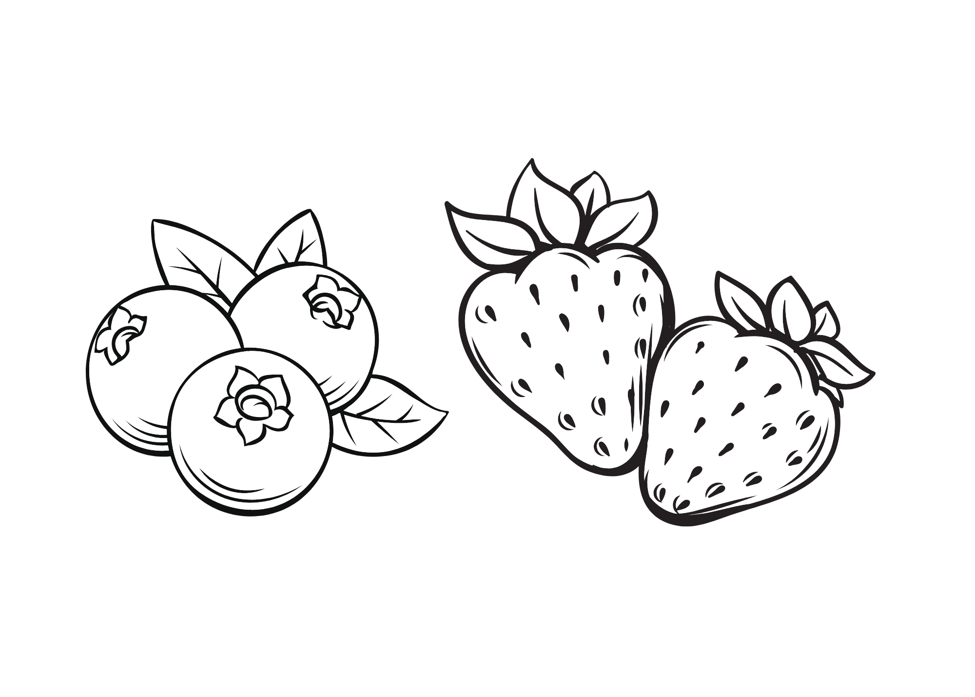 Fruit