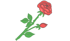 rose